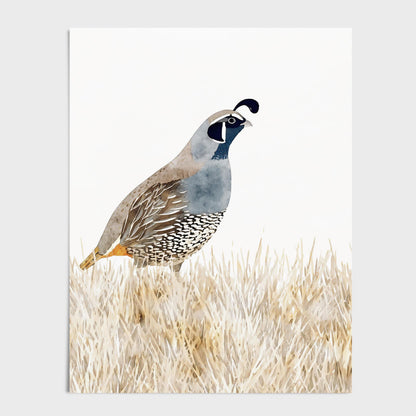 Watercolor painting of a California quail standing in tall golden grasses, featuring soft shades of brown, blue, and gray. The bird’s distinctive head plume and patterned feathers are detailed against a clean white background, giving the artwork a minimalist, nature-inspired style.