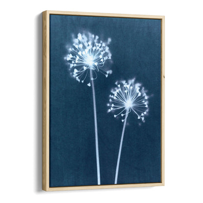 Blue Minimalist Dandelion Flower Cyanotype Reproduction Print