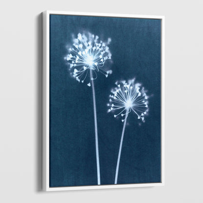 Blue Minimalist Dandelion Flower Cyanotype Reproduction Print