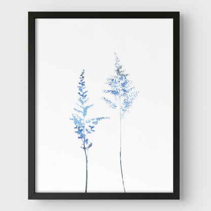 Blue Astilbe Minimalist Wildflower Print