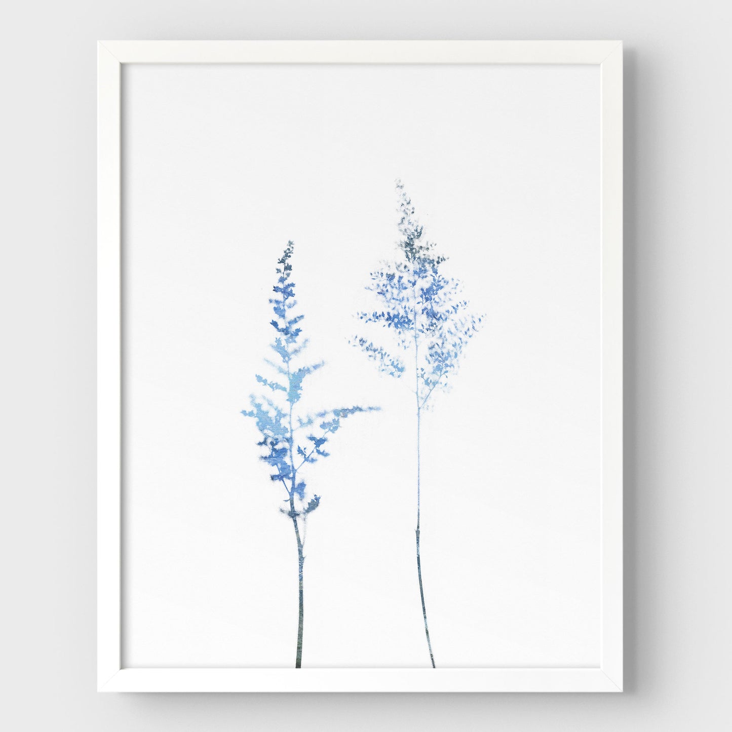 Blue Astilbe Minimalist Wildflower Print