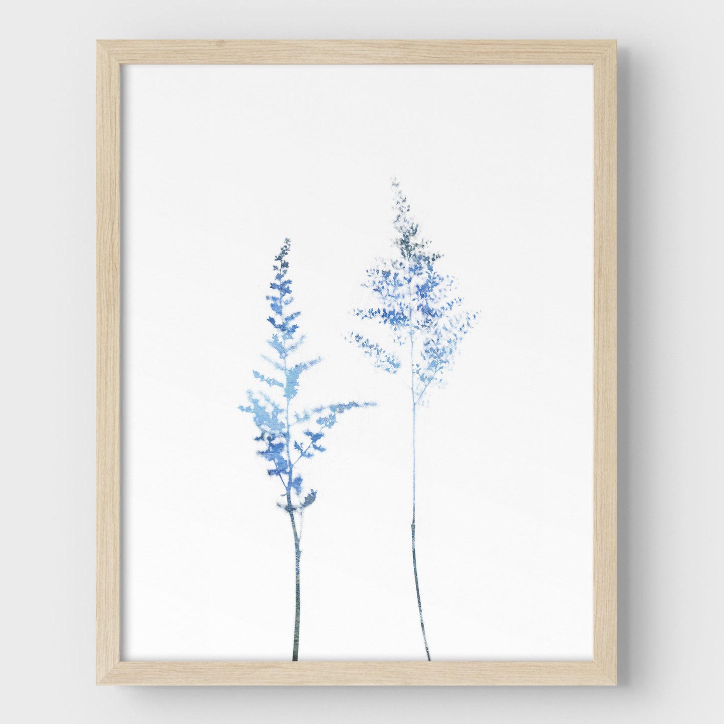 Blue Astilbe Minimalist Wildflower Print