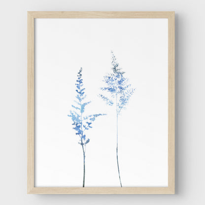 Blue Astilbe Minimalist Wildflower Print