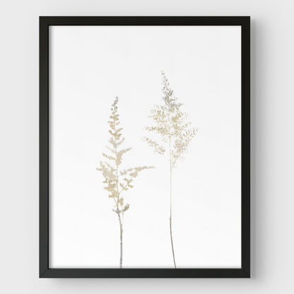 Beige Minimalist Wildflower Botanical Print