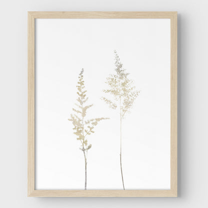 Beige Minimalist Wildflower Botanical Print