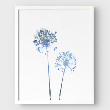 Blue Dandelion Flowers Minimalist Botanical Print