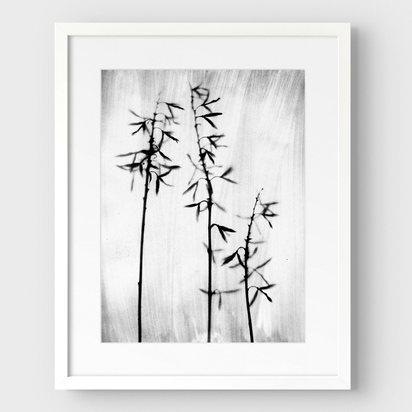 Black and White Bamboo Print