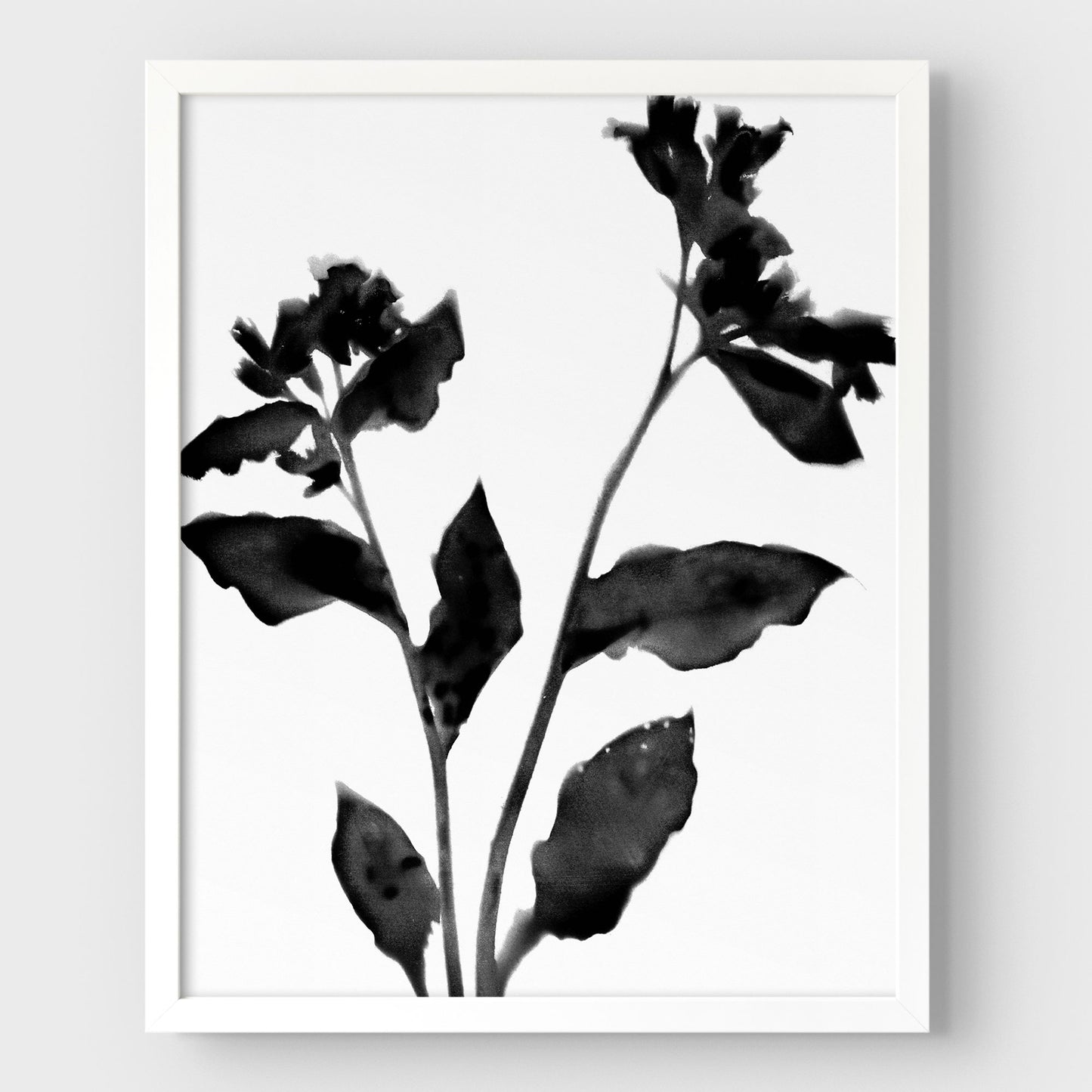 Black and White Flower Silhouette II Print