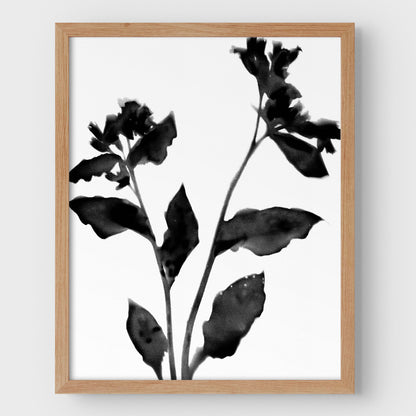 Black and White Flower Silhouette II Print