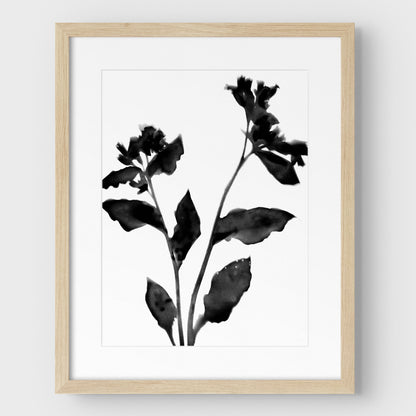 Black and White Flower Silhouette II Print