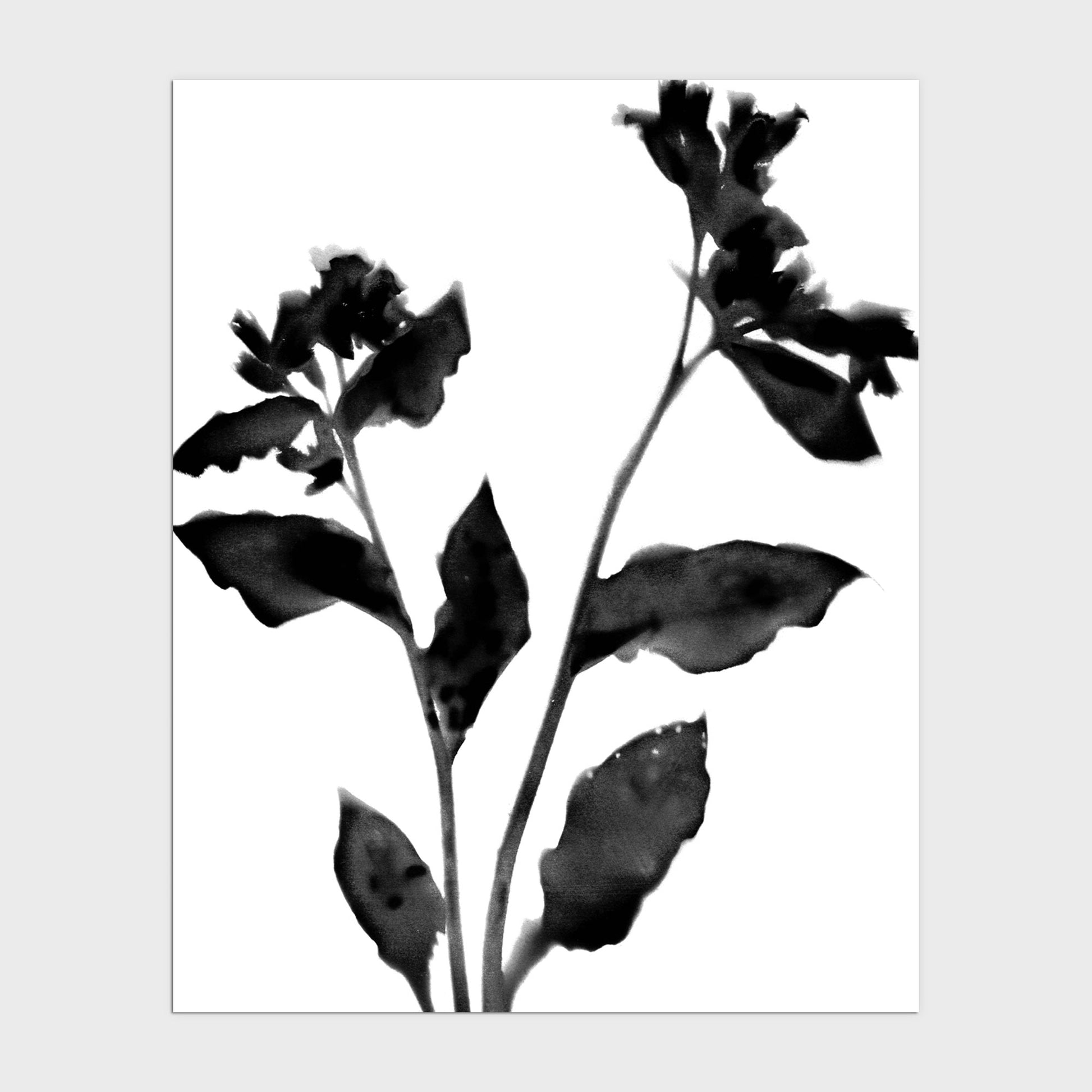 Black and White Moody Floral Silhouette Botanical Print