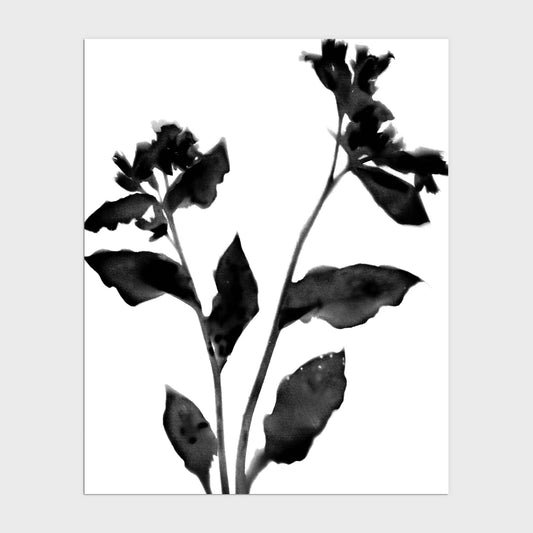 Black and White Moody Floral Silhouette Botanical Print