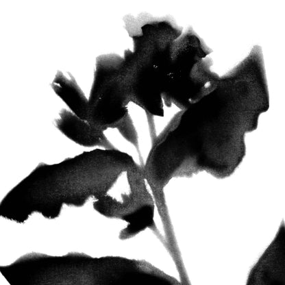 Black and White Moody Floral Silhouette Botanical Print