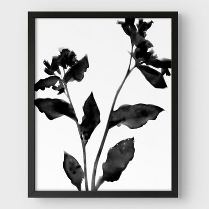 Black and White Moody Floral Silhouette Botanical Print