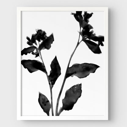 Black and White Moody Floral Silhouette Botanical Print