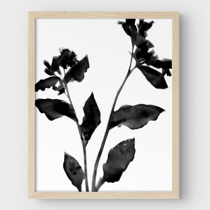 Black and White Moody Floral Silhouette Botanical Print