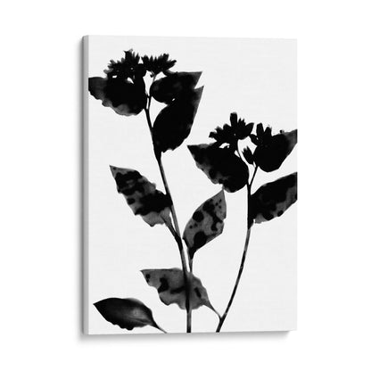 Black and White Moody Flower Silhouette Botanical Print