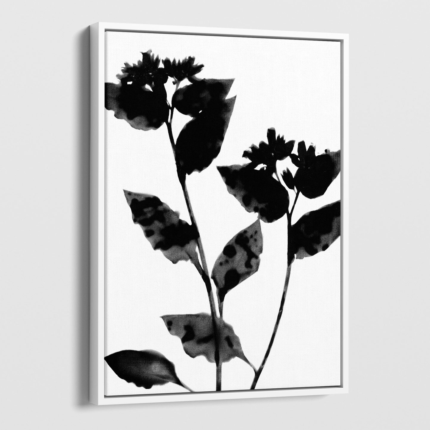 Black and White Moody Flower Silhouette Botanical Print