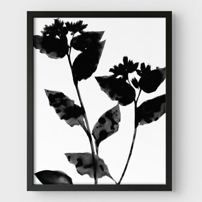 Black and White Moody Flower Silhouette Botanical Print