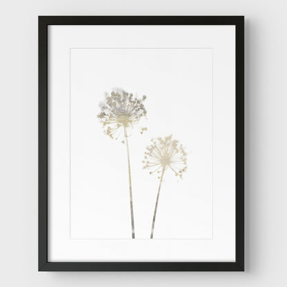 Beige Dandelion Print