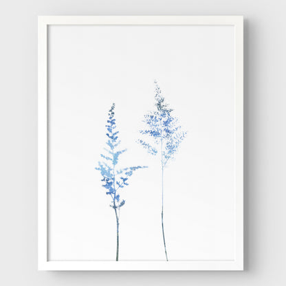 Blue Wildflower Print