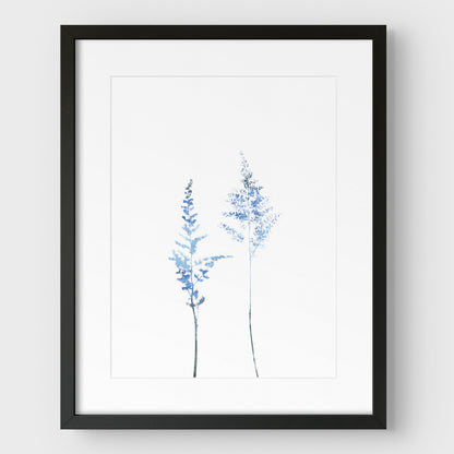 Blue Wildflower Print