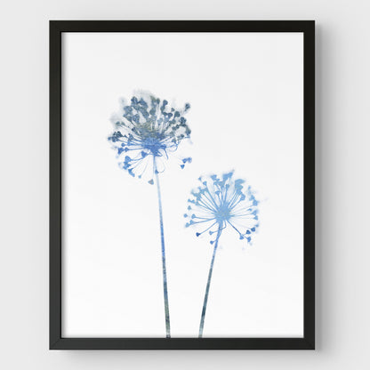 Blue Dandelion Print
