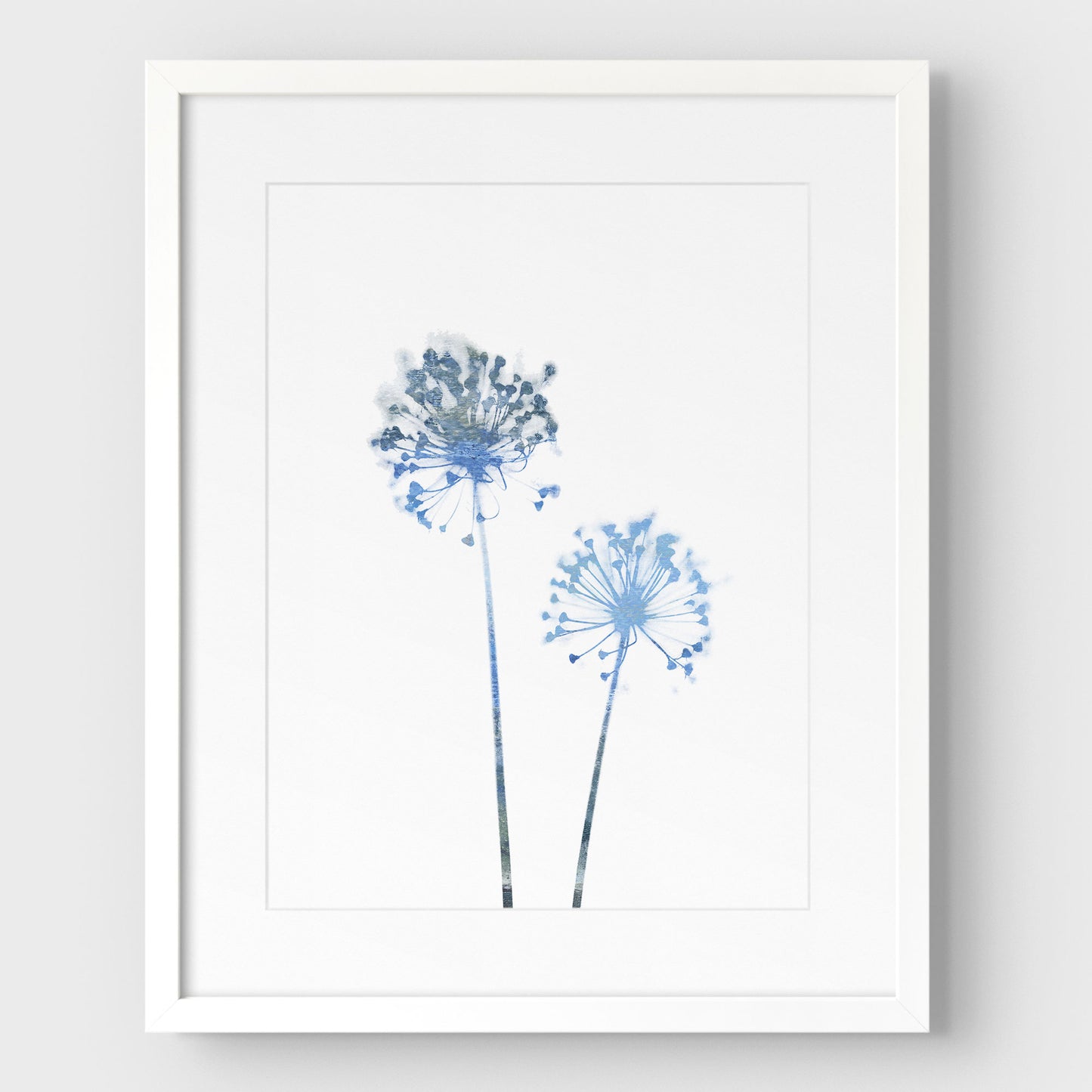Blue Dandelion Print