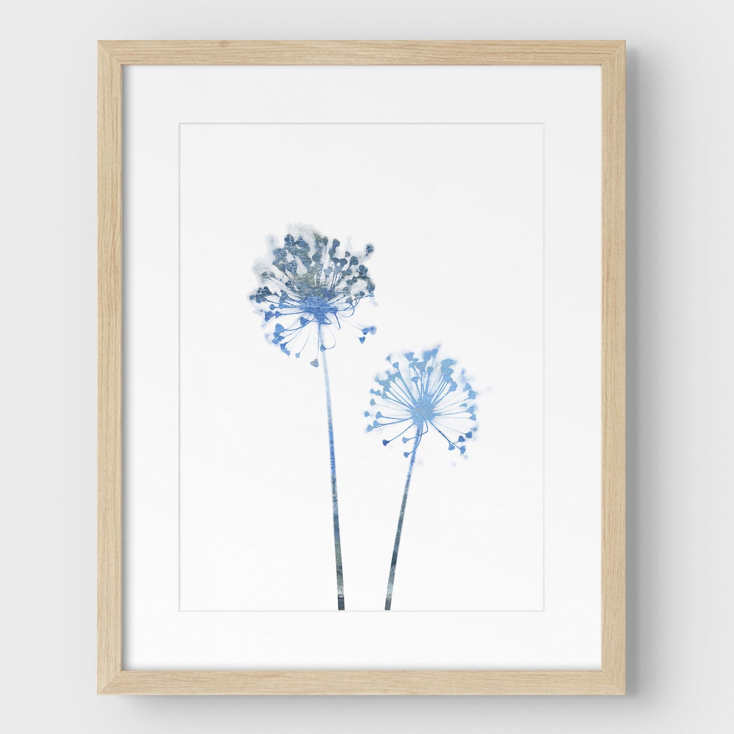 Blue Dandelion Print