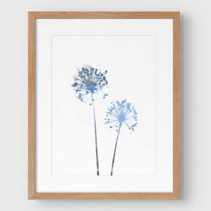 Blue Dandelion Print