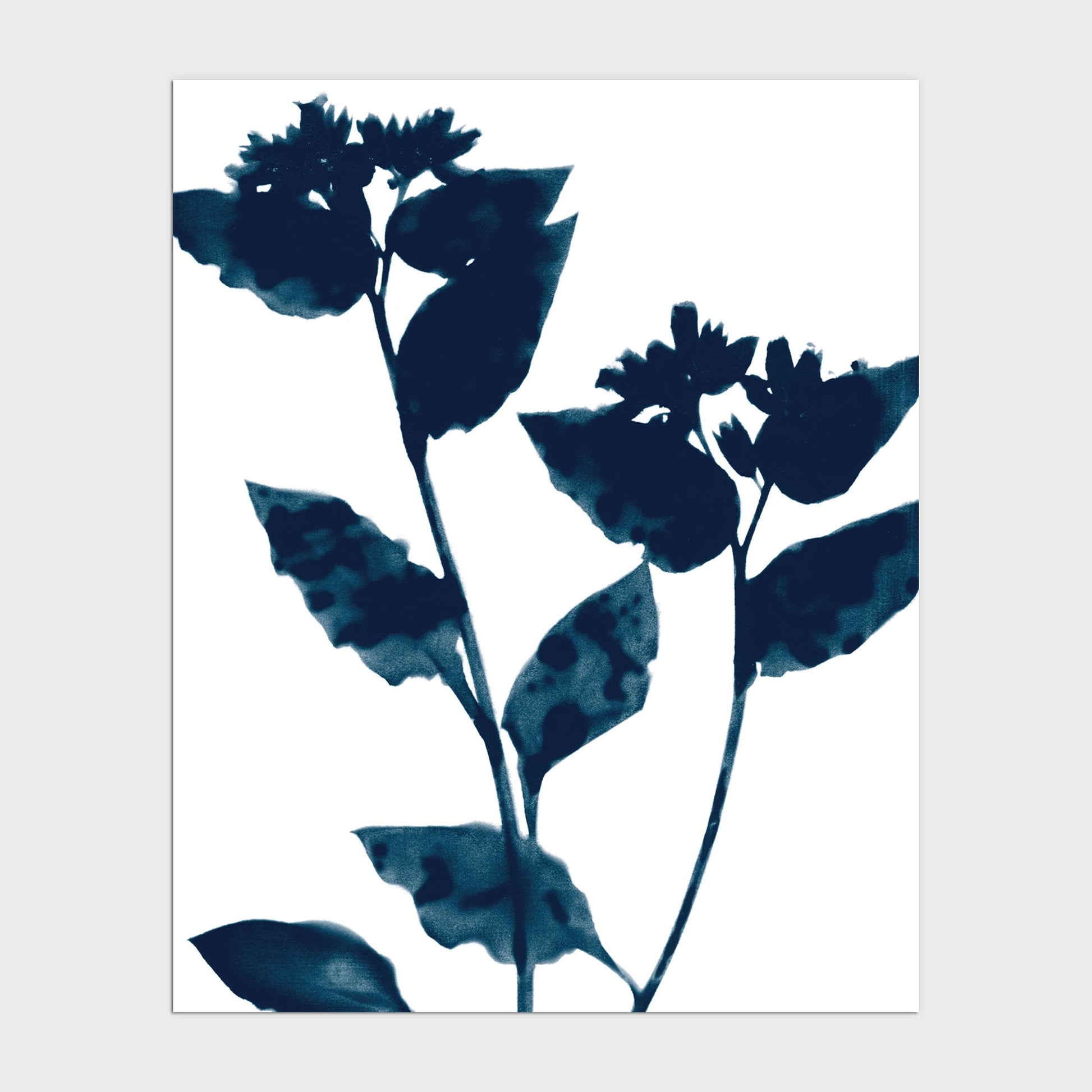 Dark Blue Flower Silhouette Botanical Print