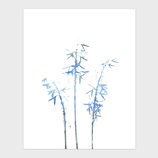 Blue Bamboo Minimalist Botanical Illustration Print