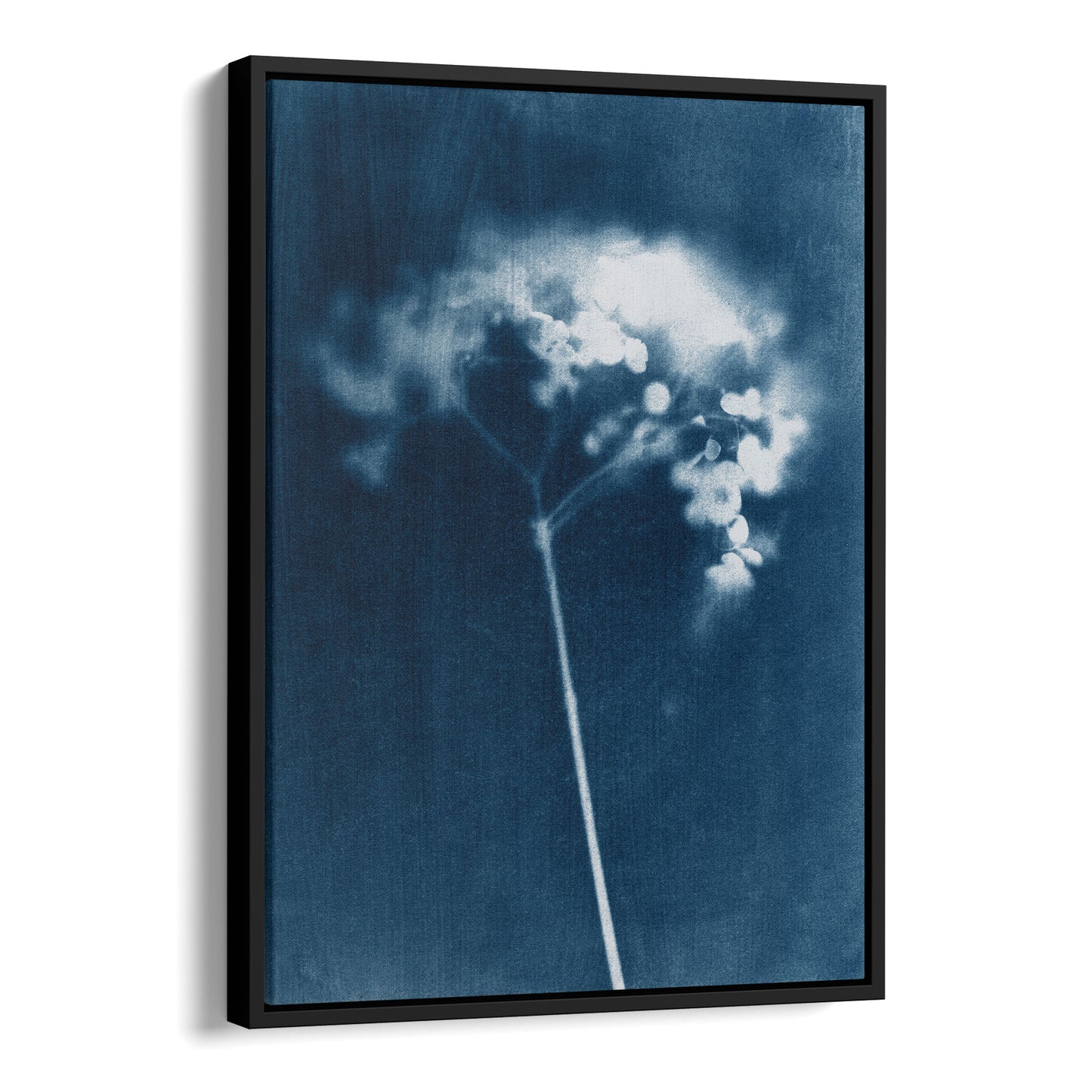 Indigo Blue Minimalist Hydrangea Flower Cyanotype Reproduction Print