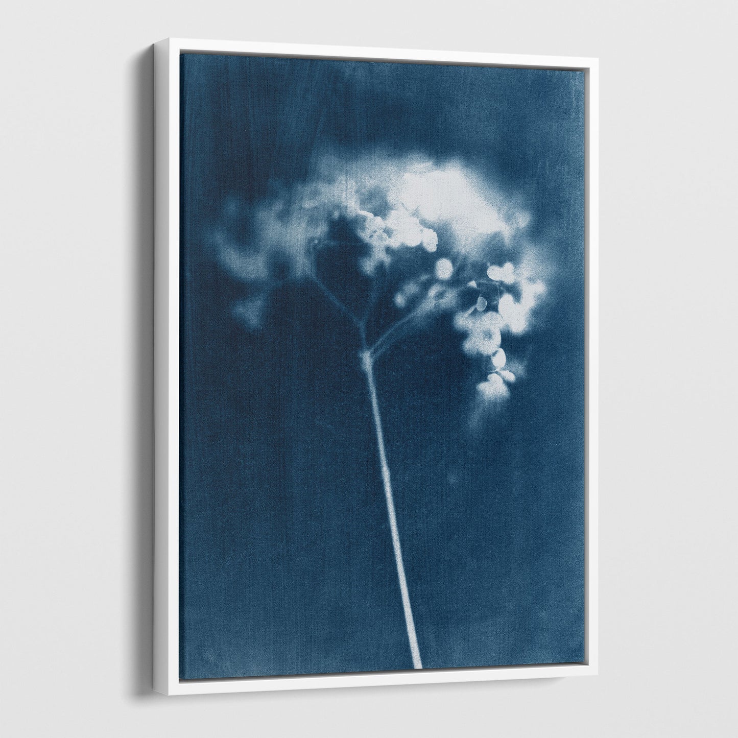 Indigo Blue Minimalist Hydrangea Flower Cyanotype Reproduction Print