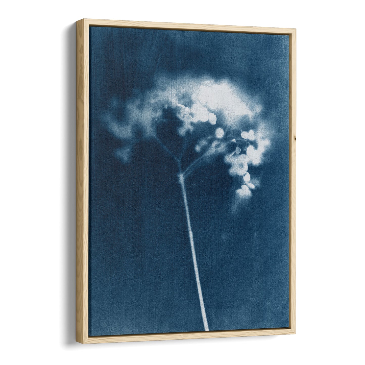 Indigo Blue Minimalist Hydrangea Flower Cyanotype Reproduction Print