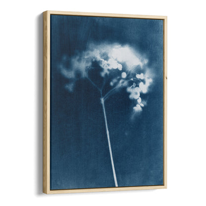 Indigo Blue Minimalist Hydrangea Flower Cyanotype Reproduction Print