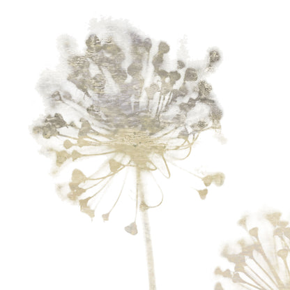 Beige Dandelion Minimalist Floral Print