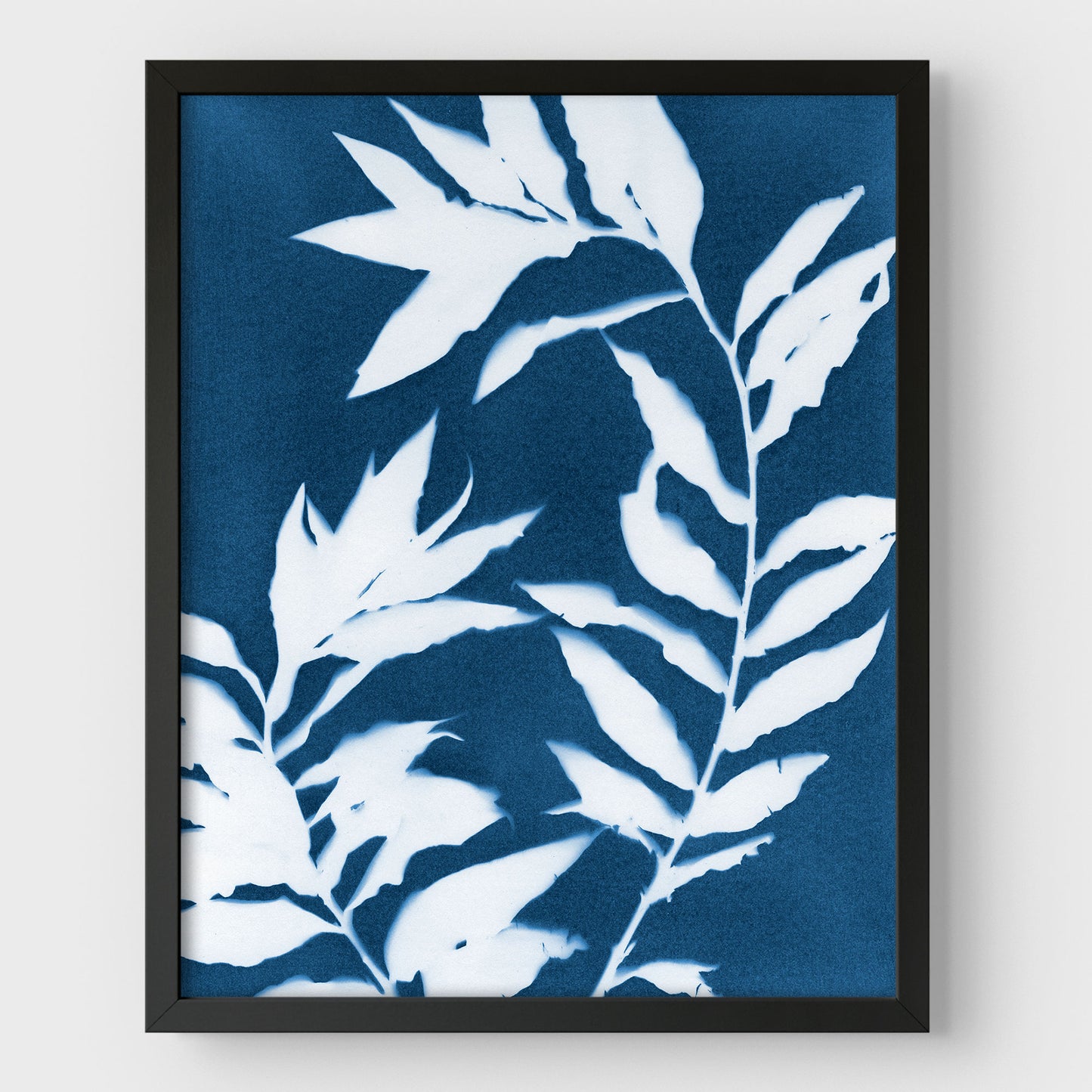 Curved Branches Cyanotype Print