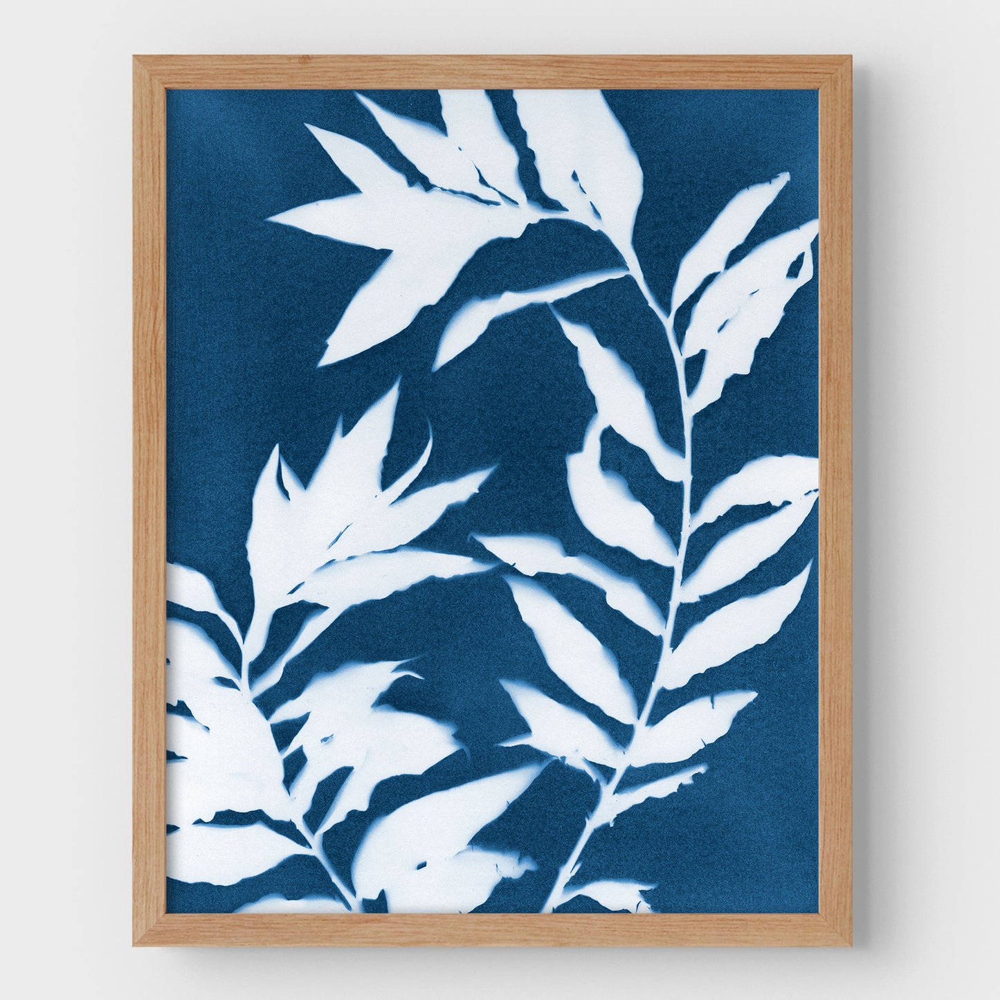 Curved Branches Cyanotype Print