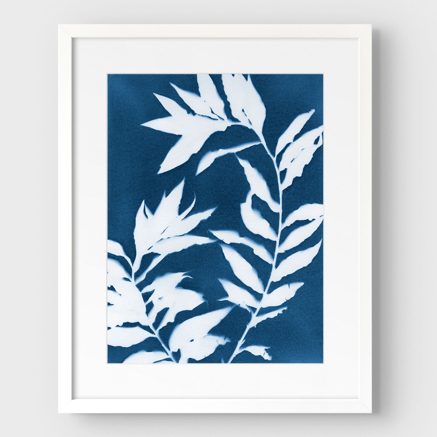 Curved Branches Cyanotype Print