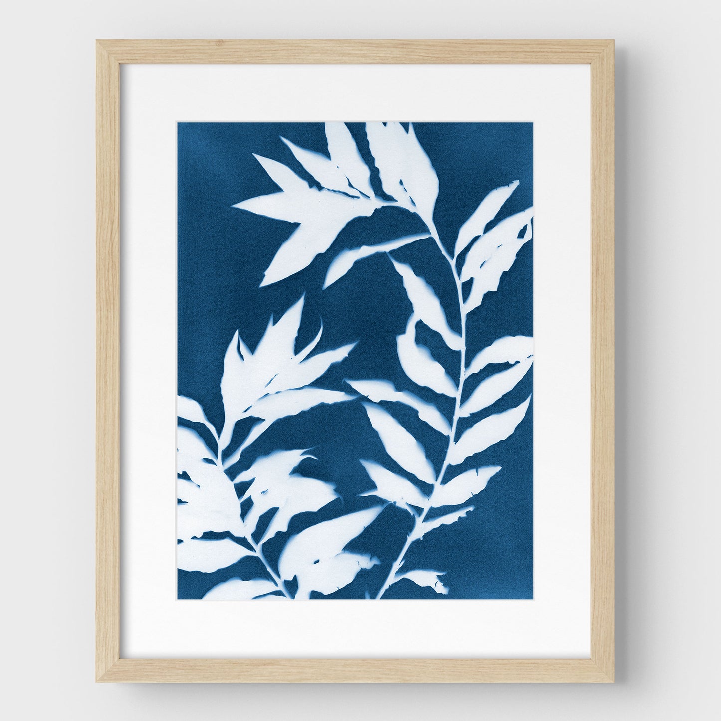 Curved Branches Cyanotype Print