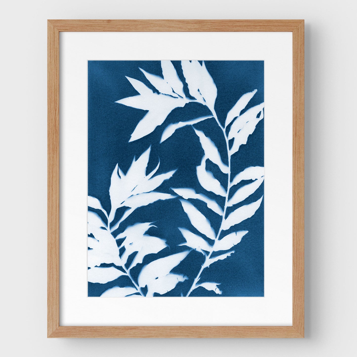 Curved Branches Cyanotype Print