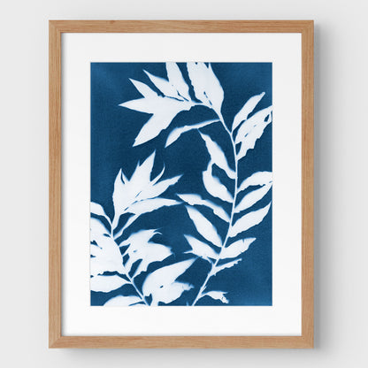 Curved Branches Cyanotype Print