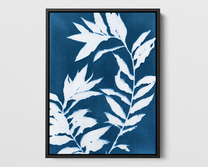 Curved Branches Cyanotype Print