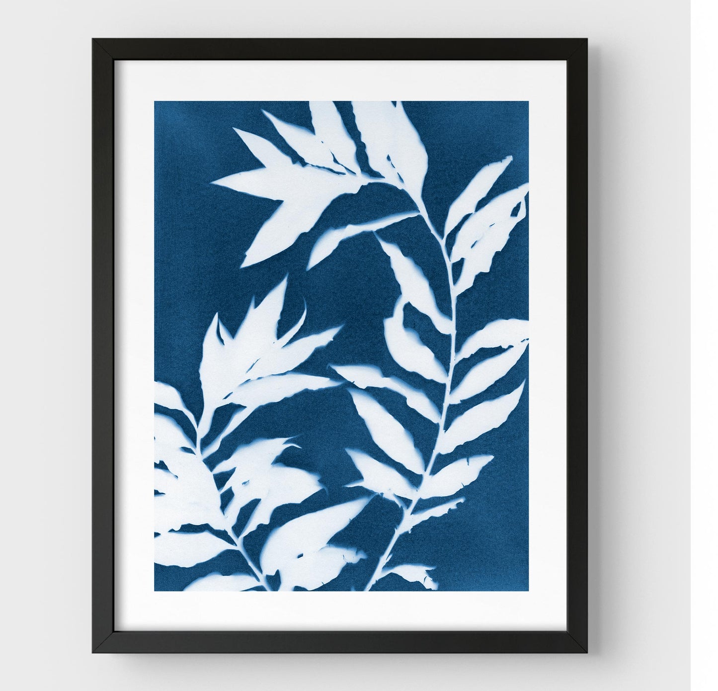 Framed cyanotype print featuring curved branches with pointed leaves in white against a deep blue background, enclosed in a black frame with a white border.