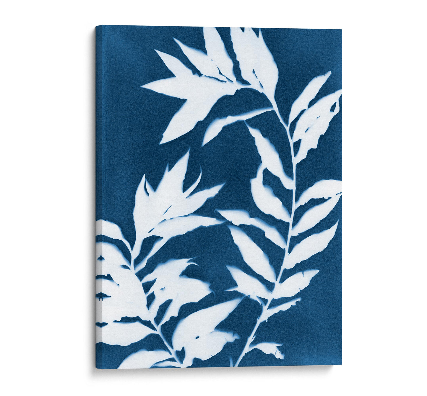 Canvas print of a cyanotype featuring white curved branches with pointed leaves against a deep blue background.