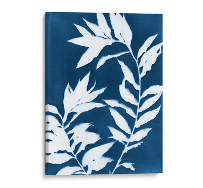 Canvas print of a cyanotype featuring white curved branches with pointed leaves against a deep blue background.