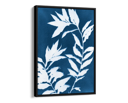 Framed cyanotype print featuring white curved branches with pointed leaves against a deep blue background, enclosed in a black minimalist frame.