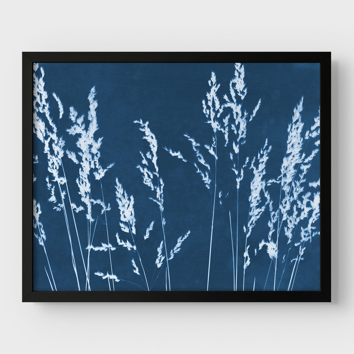 Wild Grasses Cyanotype Print