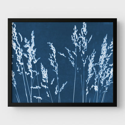 Wild Grasses Cyanotype Print